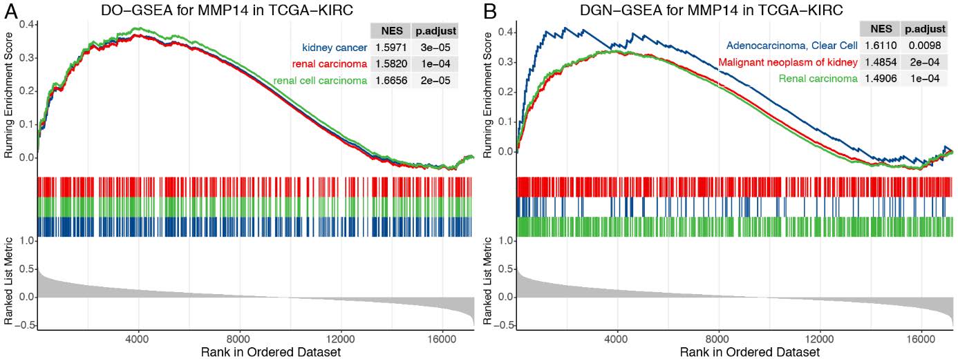 DO GSEA for MMP14 in TCGA-KIRC